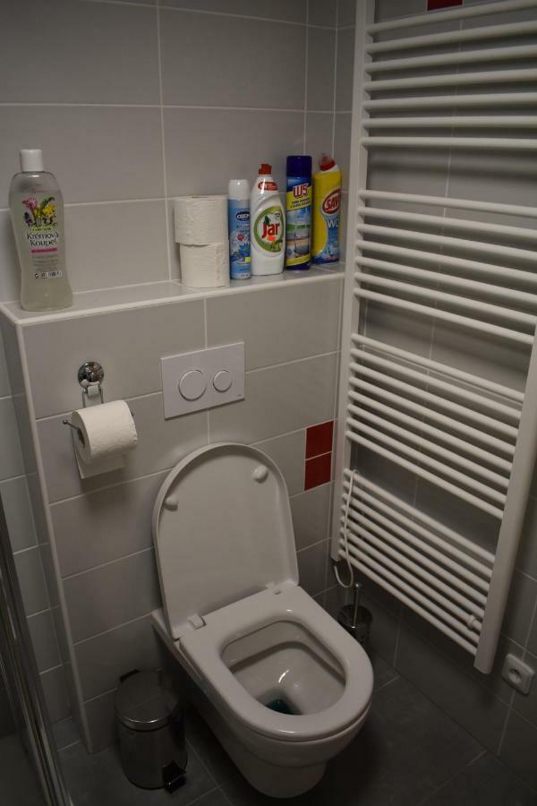 Apartma Fara Loučná nad Desnou Esterno foto